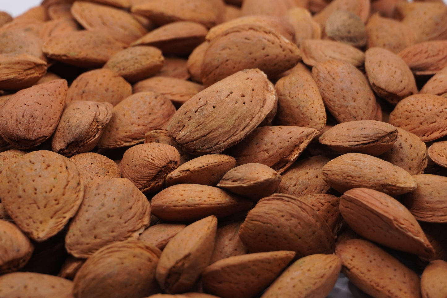 los mejores frutos secos de calidad en valencia
