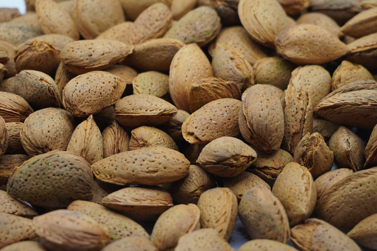 almendra blanda facil de pelar